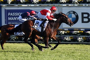 Mongolian Khan 17.10.15 G1 Caulfield Cup (Resized)